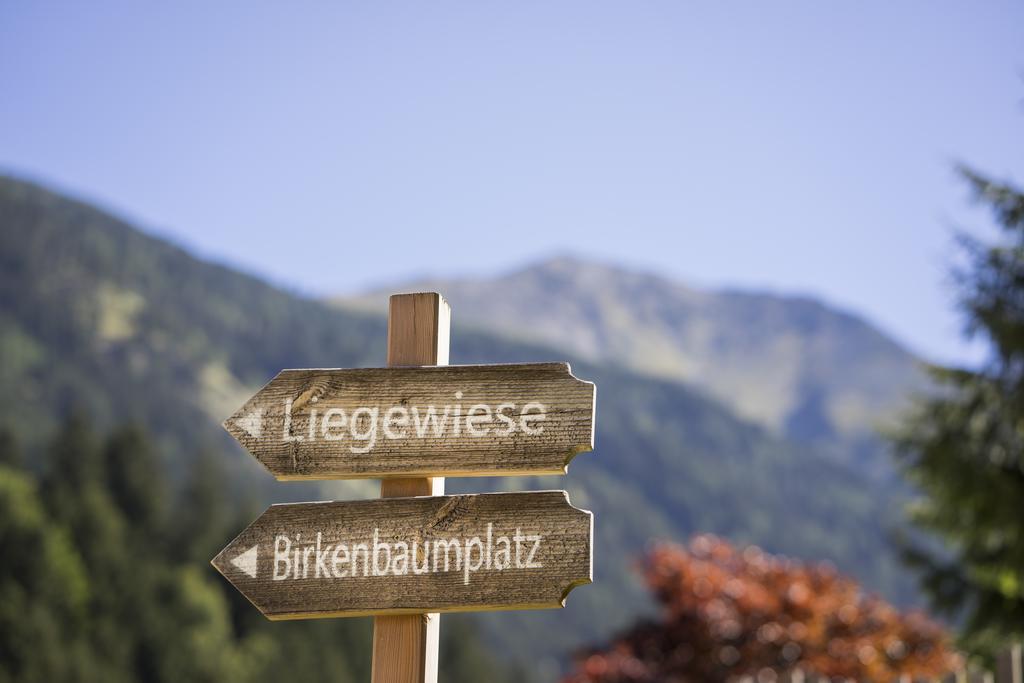 Wellnesshuettendorf Wiese Sankt Leonhard im Pitztal Kültér fotó